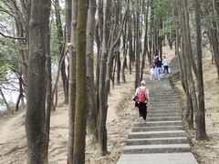 -火炉山森林公园