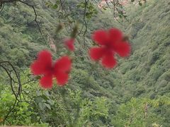 -沣峪口