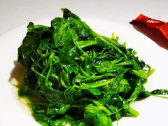 清炒豆尖-峨嵋酒家总店(车公庄店)
