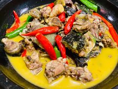 口味甲鱼-湘里乡亲甲王二老店