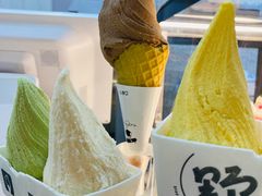 -野人先生现做冰淇淋(北京环宇荟店)