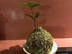 -初蓉丨遇见新川菜(亲贤街荣耀店)