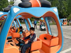 -黄海国家森林公园