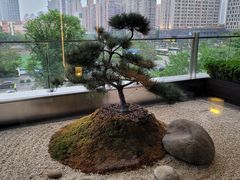 -丽思卡尔顿·炙焰·铁板烧餐厅