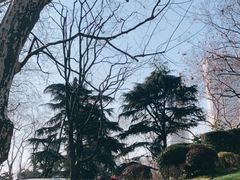 -静安公园(静安寺街道)