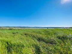 -野鸭湖国家湿地公园