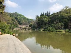 -云溪植物园