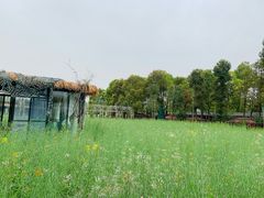 -洪湖家庭农场·团建·露营·会议