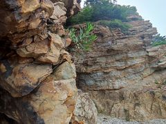 -棒棰岛宾馆景区