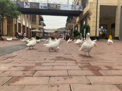 -王府井奥莱临潼小镇(临潼店)