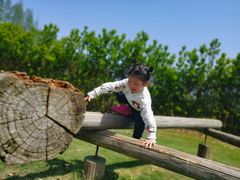 -前小桔亲子创意农场·草莓采摘·露营烧烤