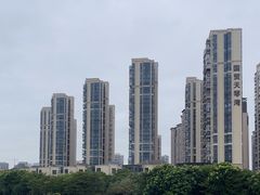 -五缘湾湿地公园