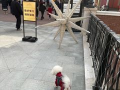 -京津佛罗伦萨小镇