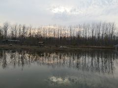 -合肥滨湖国家森林公园