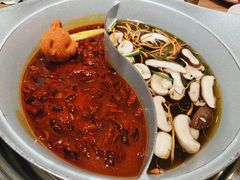 -青瓷火锅料理(西单大悦城店)
