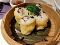 -点都德·毕德寮
