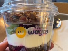 火龙果奇异果酸奶杯-Wagas(凤凰汇店)