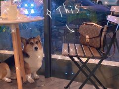 -LV路易威登(国际广场店)