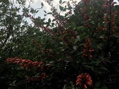 -铁炉农家菜馆