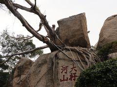 -南普陀寺