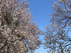 -山东师范大学(千佛山校区)
