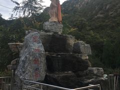 -大岭沟猕猴桃谷风景区