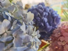 -参差咖啡(水果湖公园店)