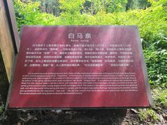 -雅安上里古镇
