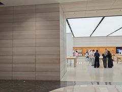 -Apple零售店(济南恒隆广场店)