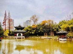 -水绘园