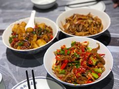 鸭掌筋-壹盏灯(惠农店)