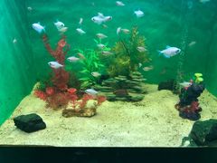-常州海昌海洋探索馆