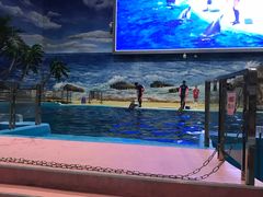 -福州罗源湾海洋世界旅游区