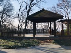 -紫金山山顶公园