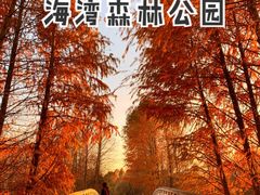 -上海海湾国家森林公园