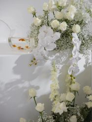 -琥珀婚礼策划AMBER WEDDING