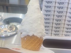 -野人先生Gelato(上海长宁龙之梦店)