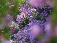 -杭州城北体育公园