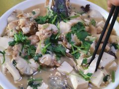 -煲来饱去冷水鱼