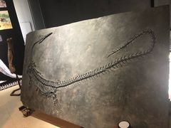 -中华赏石园