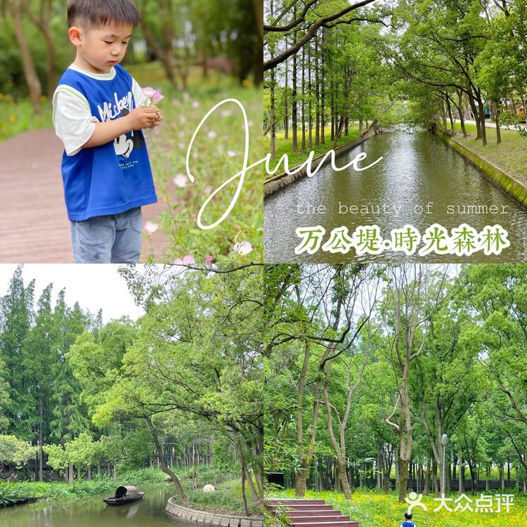 绿皮火车上竟藏着一家茶餐厅 ‼️吴江新晋网红打卡地速来打卡🤙