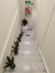 -海涛医疗美容·面部抗衰·注射美鼻