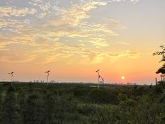 -南汇嘴观海公园