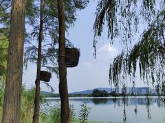 -渤公岛生态公园