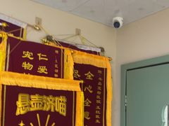 -半岛宠物医院24小时(白果林店)