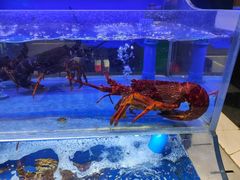-新海渔港·胶东海鲜家常菜·家宴(奥体中心店)