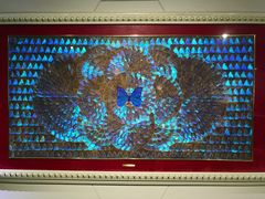 -上海昆虫博物馆