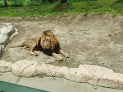 -北京野生动物园