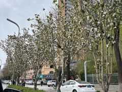 -秦始皇帝陵博物院-丽山园