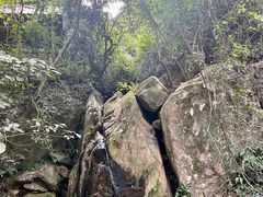 -南丹山森林王国
